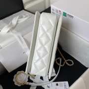 Chanel Handbag White 22CM AS3908 - 3