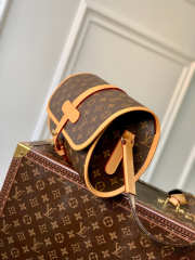 Louis Vuitton Monogram Crossbody Bag 29CM - 4