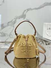 Prada Raffia Mini Bucket Bag 20CM - 1