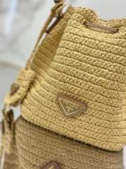 Prada Raffia Mini Bucket Bag 20CM - 2