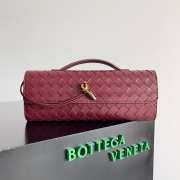 Bottega Veneta Long Clutch Andiamo With Handle Barolo 31cm - 1