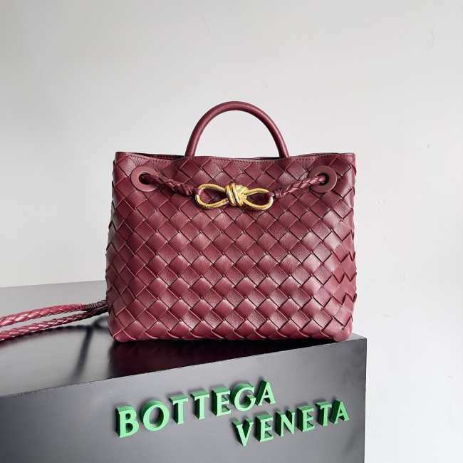 Bottega Veneta Small Andiamo Bag Barolo 25CM - 1