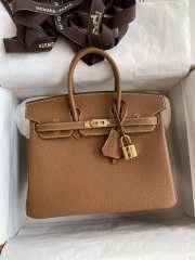 Hermes Birkin Small Bag Dark Brown 25cm - 1