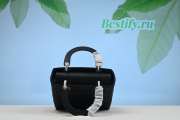 Dior lady Bag Medium Black 24cm - 2