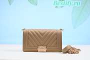 Chanel Leboy Caviar Bag Beige 25cm - 1