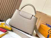 Louis Vuitton Taurillon Capucines BB Galet 27cm - 5