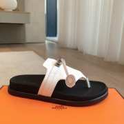 Hermes Slides 030 - 5