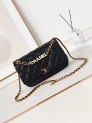 Chanel 24p WOC Bag Black 23cm - 1