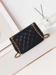 Chanel 24p WOC Bag Black 23cm - 6