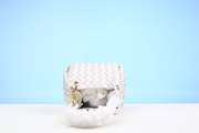 Bottega Veneta Small Parachute Bag Sea salt 21cm - 6