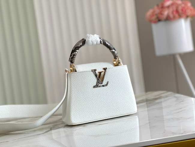 Louis Vuitton Capucines BB Mini 21cm - 1