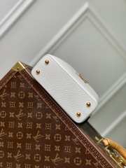 Louis Vuitton Capucines Nautical BB Mini in White 21cm - 3