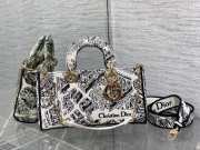 Dior D Joy Graffiti Lady bag 26cm - 1