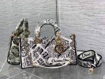 Dior D Joy Graffiti Lady bag 26cm