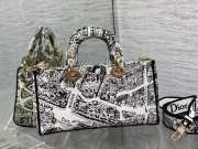 Dior D Joy Graffiti Lady bag 26cm - 2