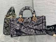 Dior D Joy Graffiti Lady bag 26cm 02 - 6