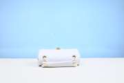 Chanel Flap Bag 23cm Cavier White Gold Hardware - 4