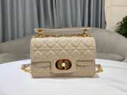 Dior Small Jolie Top Handle Bag in Powder Beige Cannage Calfskin 22cm - 1