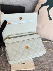 Chanel WOC Light Green Bag 19CM - 4