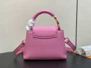 Louis Vuitton M24989 Capucines Mini Pink 21cm - 4