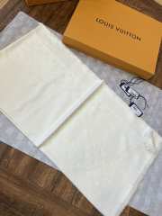 Louis Vuitton Scarf 014 - 4