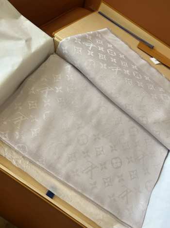 Louis Vuitton Scarf 021