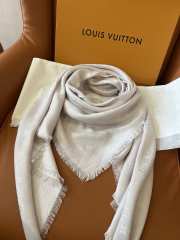 Louis Vuitton Scarf 021 - 4