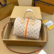 Louis Vuitton M46749 Speedy Bandoulière 25 Beige/Ocher 25cm - 2