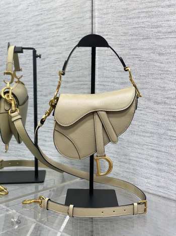 Dior Small Saddle Bag Nude Beige 17cm