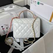 Chanel Handbag White 20CM AS3886 - 2