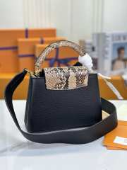 Louis Vuitton Capucines Bag Leather with Snakeskin Mini 21cm - 2