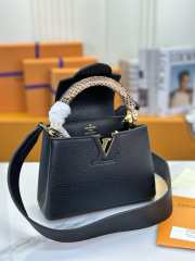 Louis Vuitton Capucines Bag Leather with Snakeskin Mini 21cm - 4