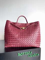 Bottega Veneta Large Andiamo Bag Barolo 42cm - 1