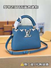 Louis Vuitton Capucines Flower Crown Mini Bag M23766 in Blue - 1