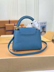 Louis Vuitton Capucines Flower Crown Mini Bag M23766 in Blue - 5