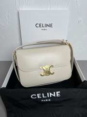 Celine Triomphe Shoulder Bag Light Stone 22CM - 1