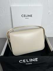 Celine Triomphe Shoulder Bag Light Stone 22CM - 3