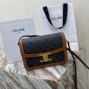 Celine Triomphe Shoulder Bag Brown&Black 22CM - 1