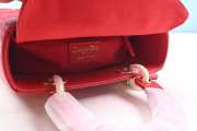 Lady Dior bag 20cm 004 - 5