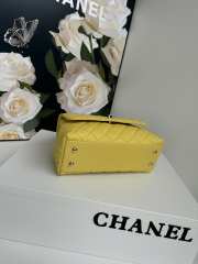 chanel cocohandle 23cm - 4